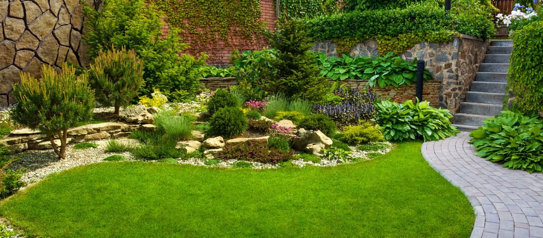 Lush garden with diverse plants, stone paths, and vibrant greenery in a serene outdoor setting.