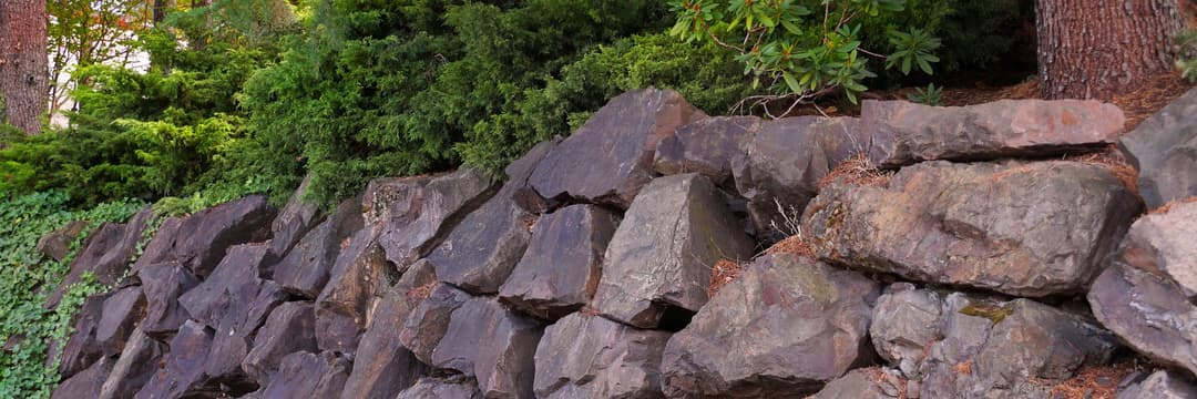 rocky stone wall with vibrant greenery and trees in a natural outdoor setting