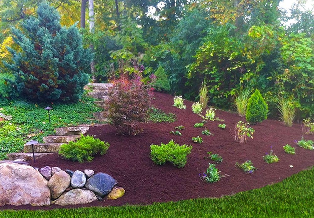 Landscaped garden with vibrant plants, mulch, and stone steps surrounded by greenery.